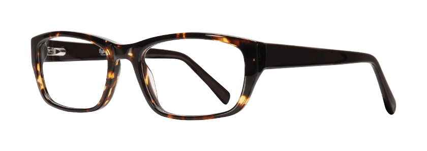 Tortoise Brown
