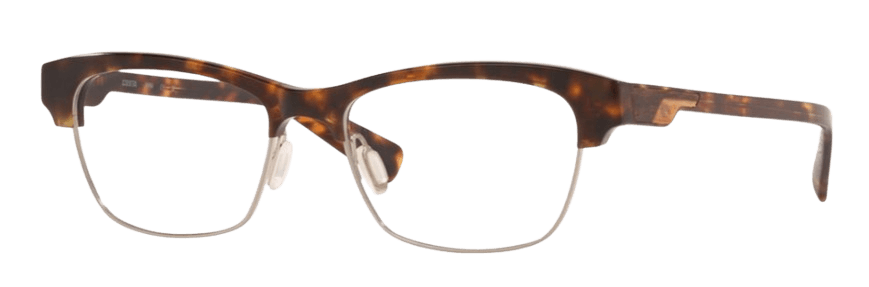 Shiny Dark Tortoise