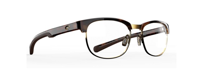 Shiny Retro Tortoise On Shiny Gold Metal