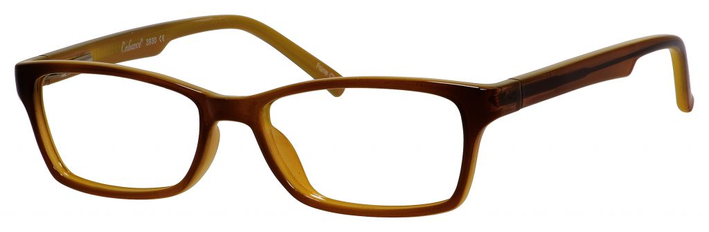 Tortoise  Olive