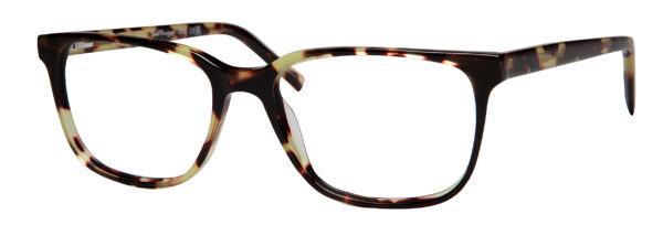  Antique Tortoise 