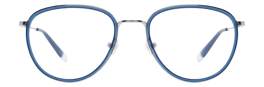 Original Penguin The Phillips Eyeglasses 