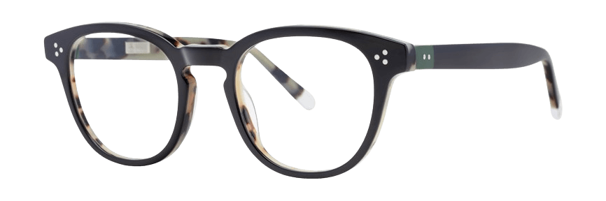 Black Tortoise