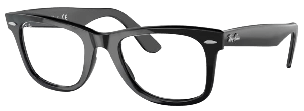 Ray Ban 0RX5121F