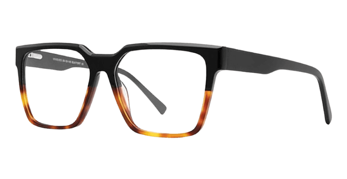 Black Tortoise