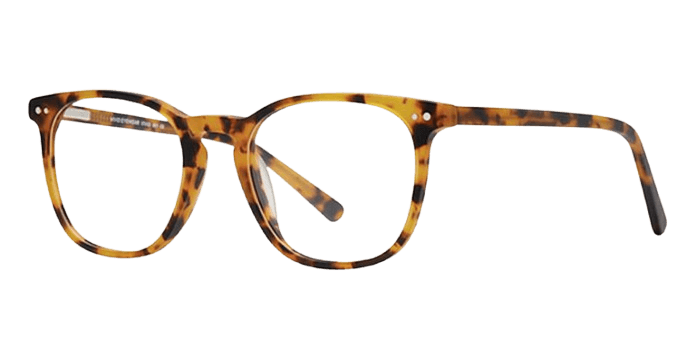 Matt Tortoise