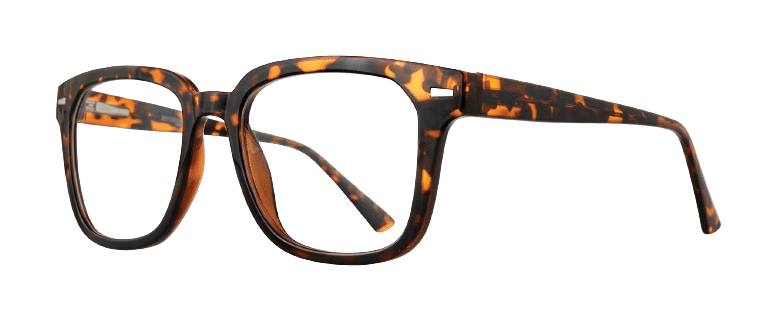 Affordable Designs Aldo Eyeglasses
