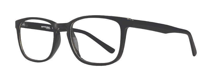 Affordable Designs Harry Eyeglasses