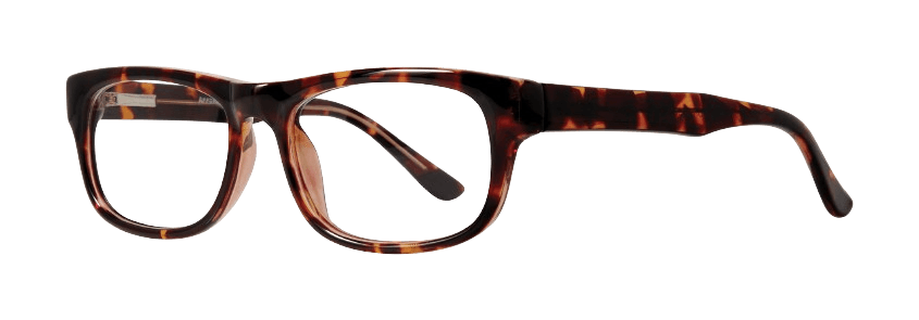 Affordable Designs Professor Eyeglasses