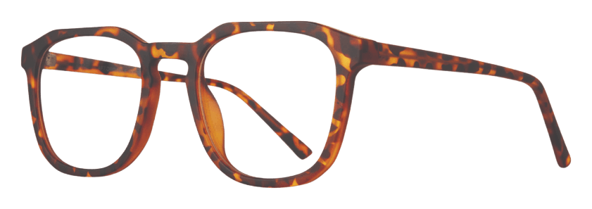 Tortoise