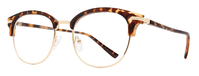 Tortoise Gold