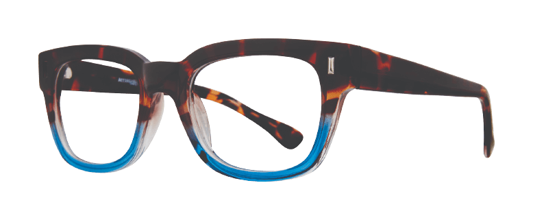 Blue Tortoise