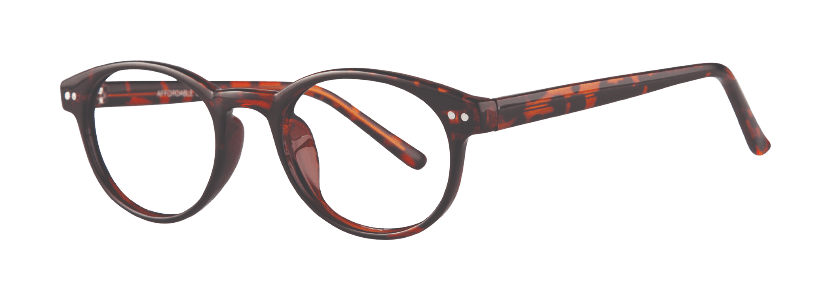Tortoise