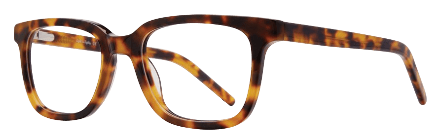 Tortoise