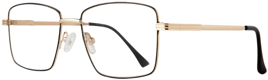 Lite Designs Austin Eyeglasses