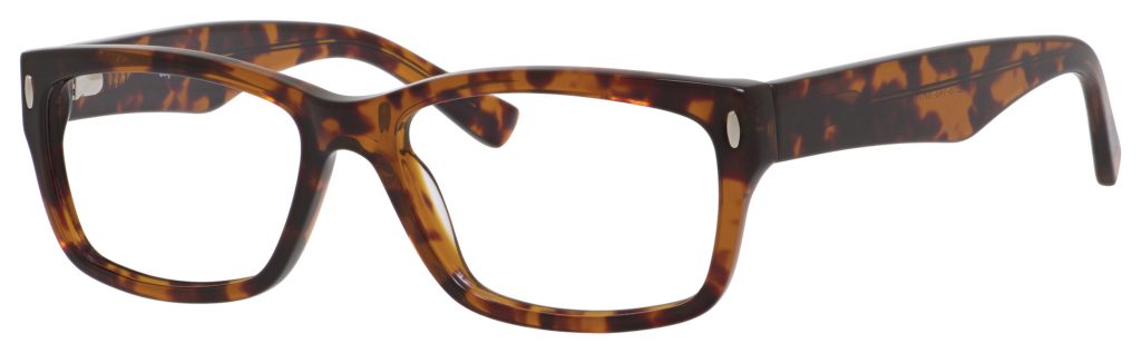 Shiny Tortoise 