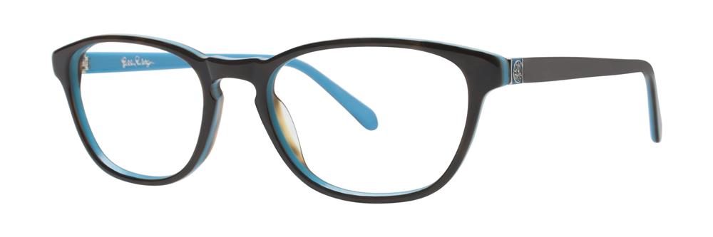 Aqua Tortoise