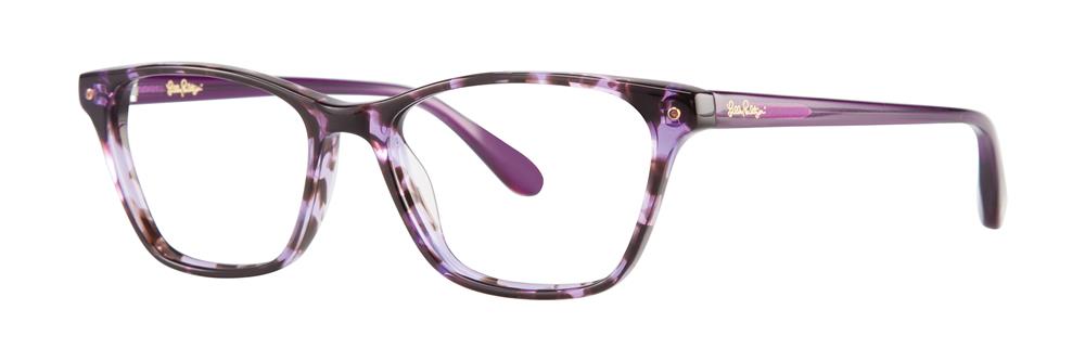 Purple Tortoise