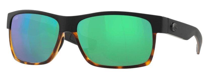 Black Shiny Tortoise