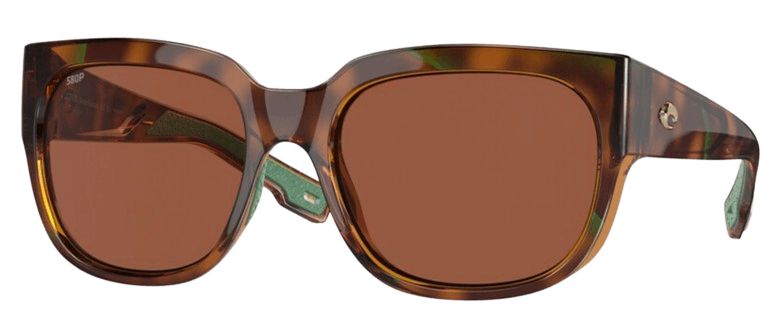 Shiny Palm Tortoise