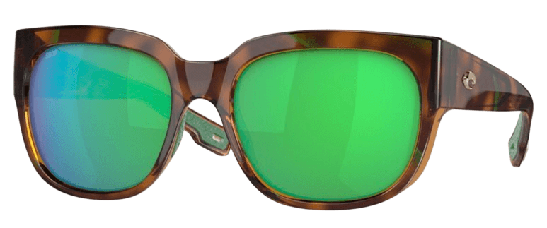 Shiny Palm Tortoise