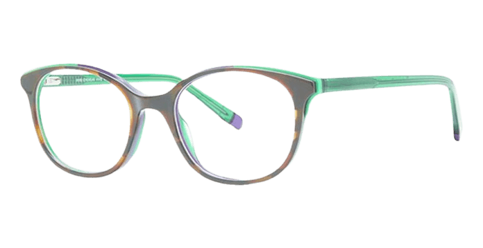 Tortoise Purple