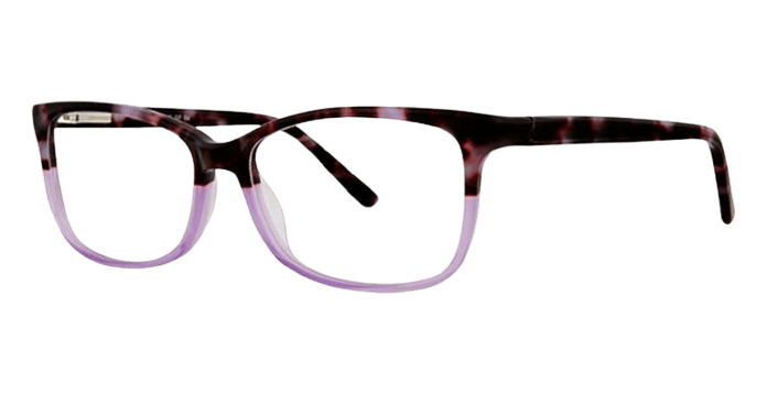  Purple Tortoise